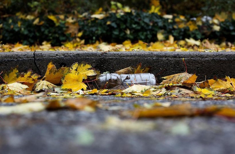 Symbolbild, Pixabay, Filmbetrachter