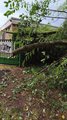 Sturmschaden auf dem Hundeplatz