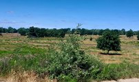Natur-Erlebniszentrum und Sielmanns Naturlandschaft Döberitzer Heide
