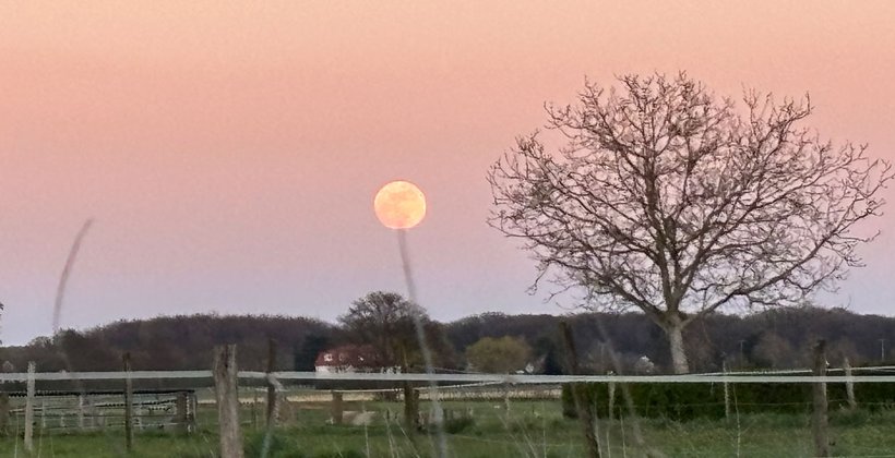 OSTERMOND in Gerkerath 2026