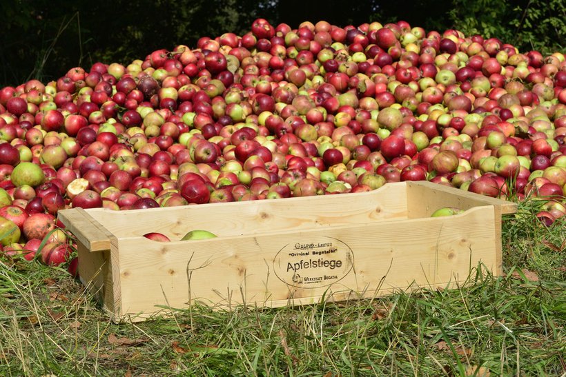Äpfel