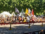 Bildserie: Ritterturnier 2026 in Wickrath