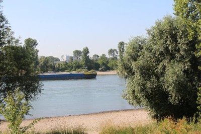 Blick auf den Rhein | Foto: ÖDP