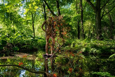 Blick in den Schlossgarten