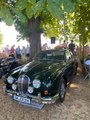 Bildserie: CLASSIC DAYS