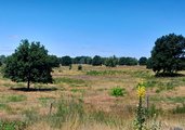 Natur-Erlebniszentrum und Sielmanns Naturlandschaft Döberitzer Heide