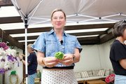 Aktion: Röschen drehen