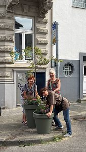 Bei der Testbepflanzung: Uschi links, Carmen rechts hinten & Jutta rechts vorne | Foto: Laura Hennicke-Küppers